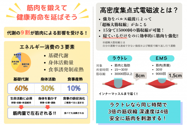 筋肉を鍛えて健康寿命を延ばそう