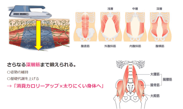 深層筋（インナーマッスル）へのアプローチが可能